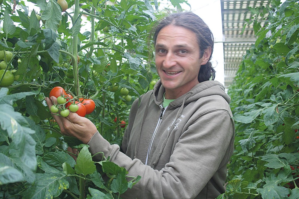 35_29_tomaten_frank_wonglorz